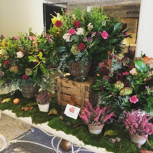 Amanda Lopez Estudio Floral