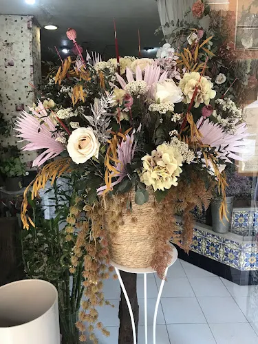 Ácoro Floristas