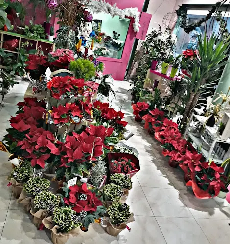 DISELO CON ROSAS