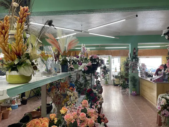Floristeria Lucy Aguilas - Águilas
