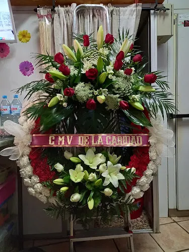 Floristería Bonsai