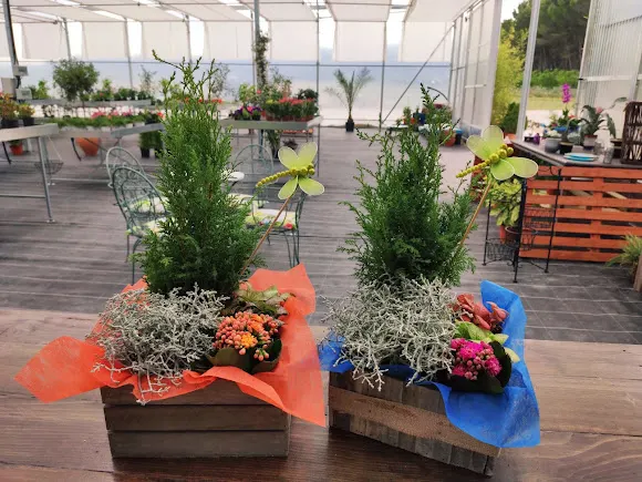 El Sauce - Floristería en Carcastillo