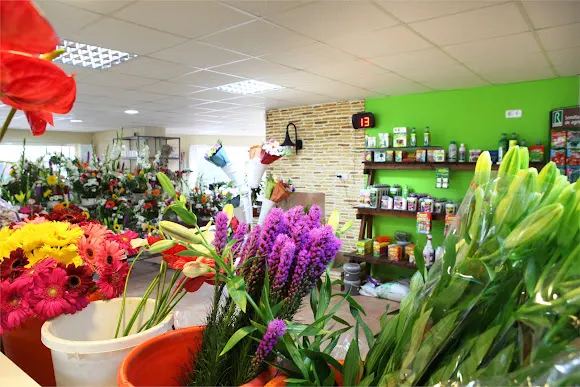 Floristería La Campana Santa Lucía