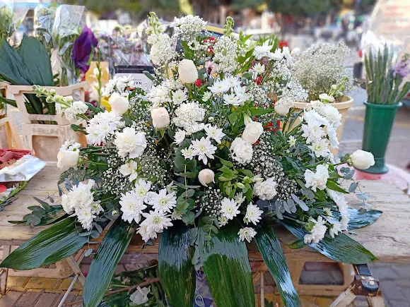 Bambú Floristas