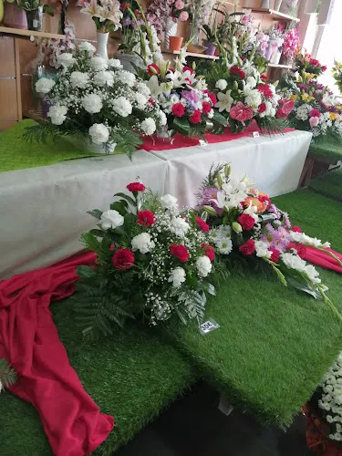 Floristería Quirce - Venta de Banos