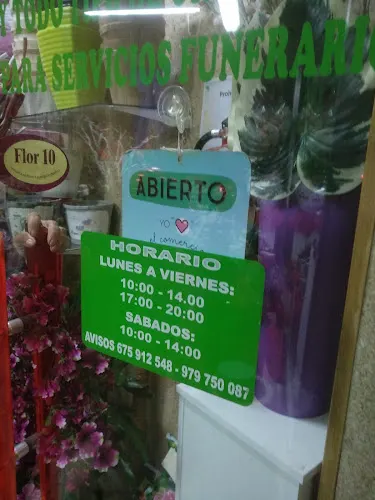 Floristería Conchi - Palencia
