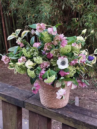 Savia Floral - Floristería en Bueu