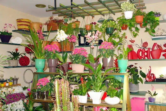 Floristería Carmiña - Silleda