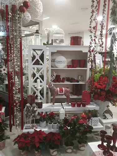 Floraría A Flor