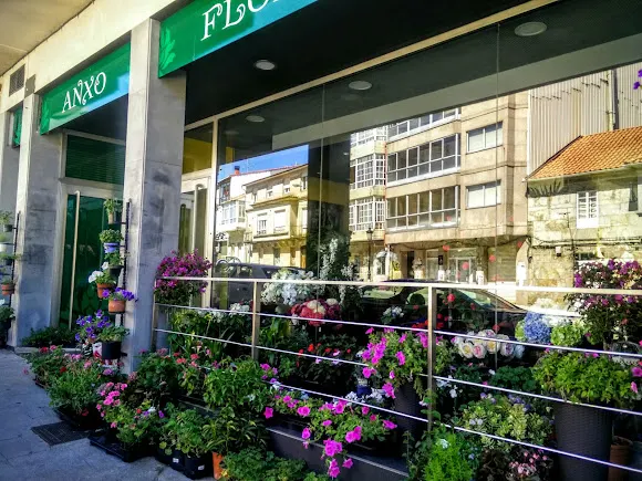 Floristería Anxo