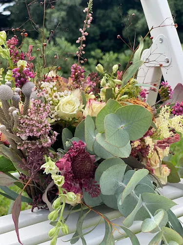 Floraría Augaluz