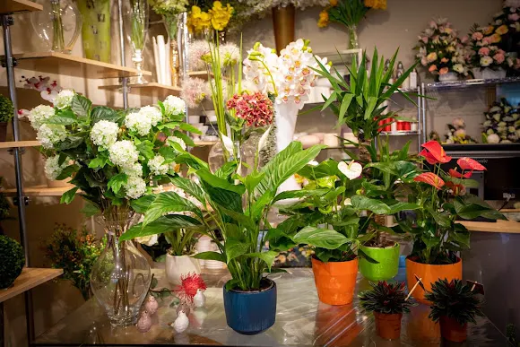 Floristería San Pelayo
