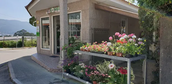 Floristería Estrella