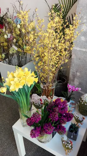 Floristería Verdeagua