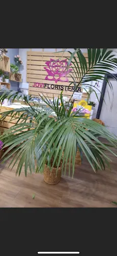Floristeria Jovi - Vila de Cruces