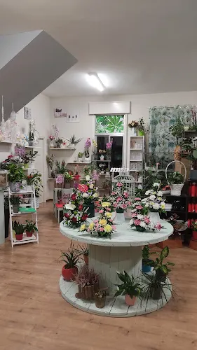 PATRI CABALLERO plantas y flores