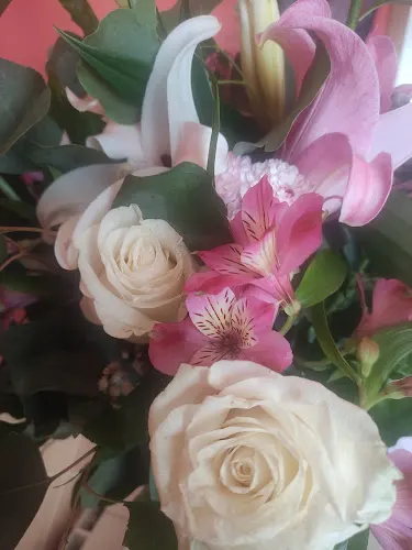Floristas Tornasol