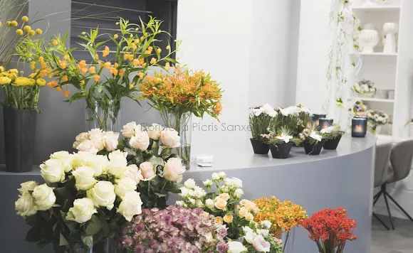 Floristería Picris