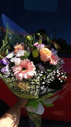 Flor De Lis