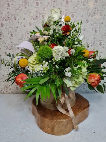 Marta Flores y Plantas