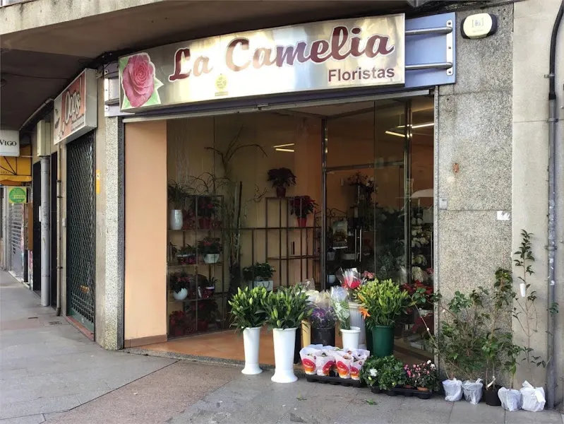 La Camelia Floristería - Vigo