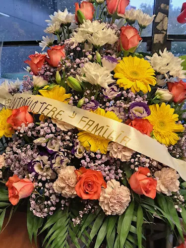 Floristería Fini