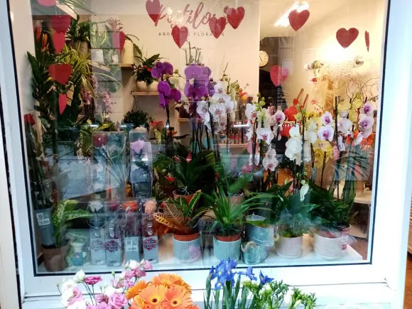 Floristería Pistilos