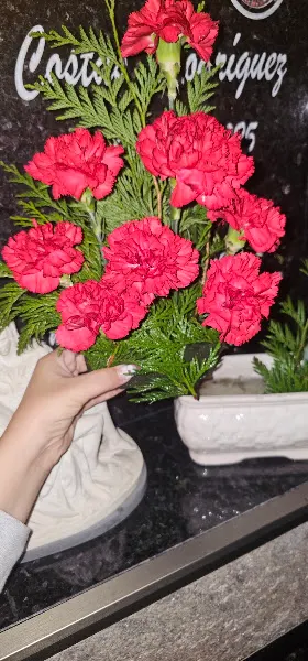 Kentia Servicios Florales - Floristería en Vigo - foto 2