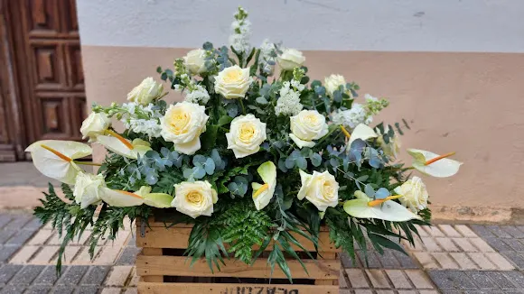 Floristería DIANA - Tamames