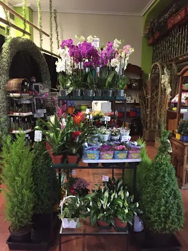 Flores Toñi (Servicio Online y telefónico)
