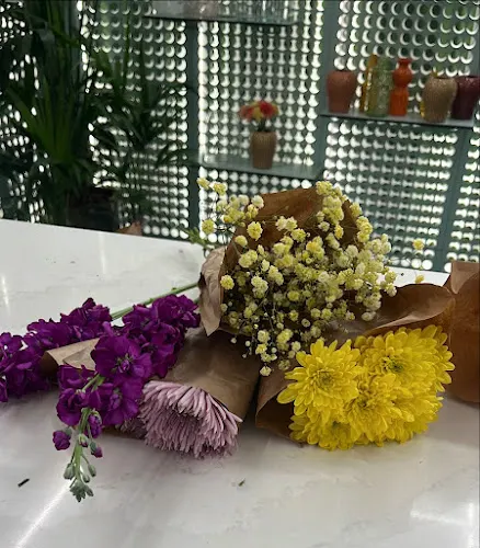 Mon Parnasse Flores - Doctor Esquerdo