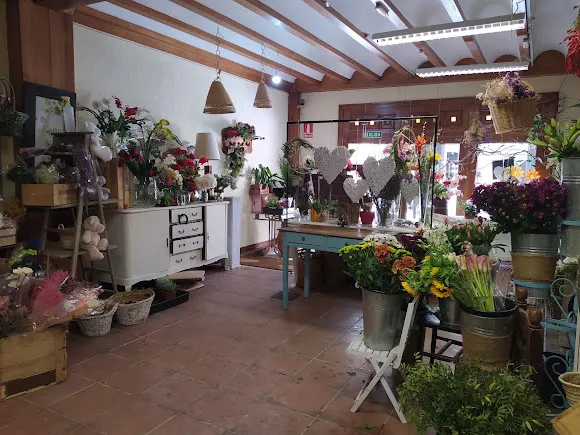 floristería de Esther Riaza - Riaza