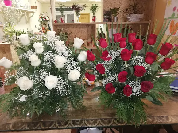 El Caloco Flores y Plantas - El Espinar