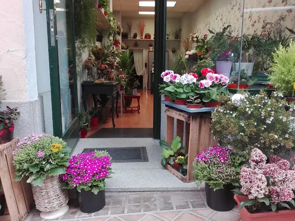 Bel-Flor La Floristeria - Segovia