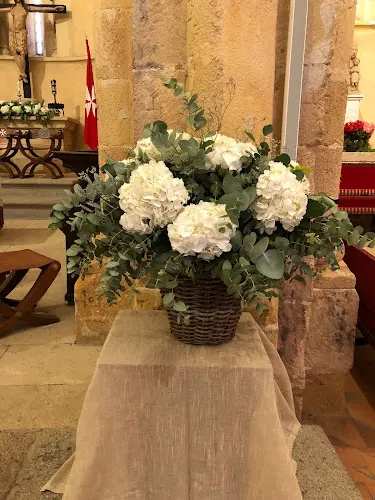 Flora Rústica - Taller floral, plantas y regalos en Turégano - Ávila