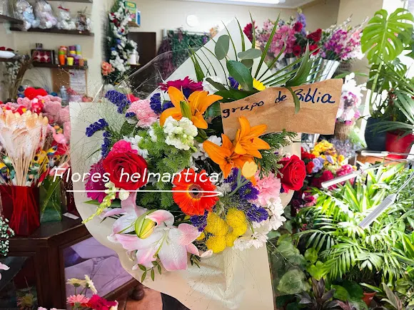 FLORES HELMÁNTICA