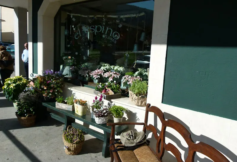 El Espino flores - El Espinar