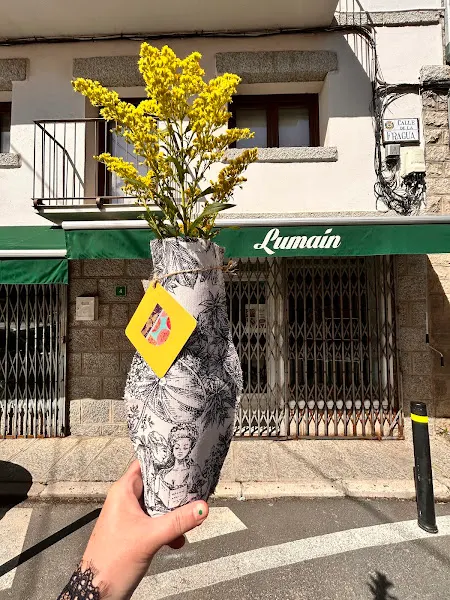 Flores Lumain - Cercedilla