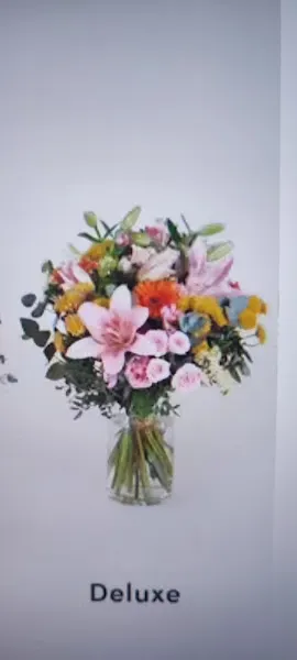 Floristería Madre de Dios - Arahal