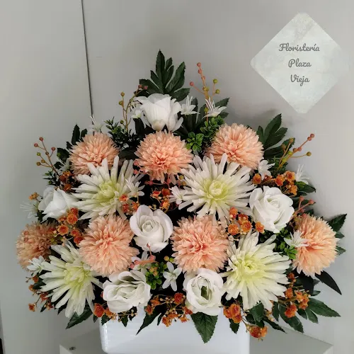 FLORISTERIA PLAZA VIEJA - Arahal