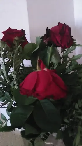 Floristería Ceraflor