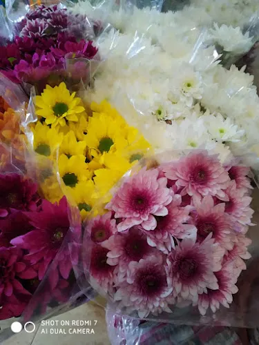 Floristería y semillería La Carrera