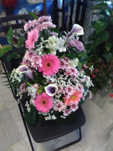 Floristería Virgen de la Estrella