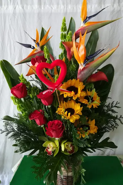 Floristeria Los Girasoles - Aznalcollar