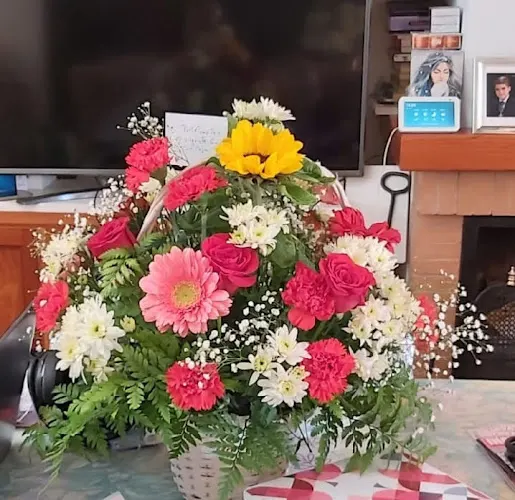 Floristeria Amazonia