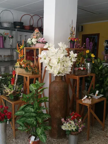 Floristería Merche - Alcoy/Alcoi