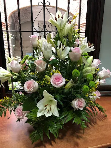 Flores y Plantas Eciflor - Écija