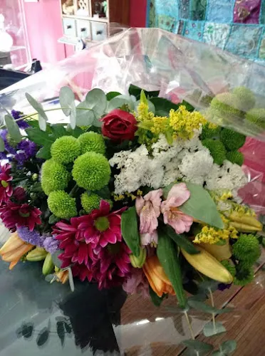 Floristería La Favorita S.L
