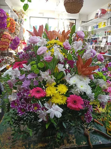 Floristería Mª Luisa