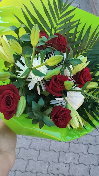 Floristería Lindo - Covaleda